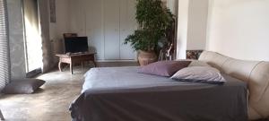 une chambre avec un lit avec un canapé et une table dans l'établissement Grande maison de Village, à Villevieille