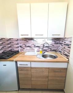 Kuchyň nebo kuchyňský kout v ubytování Katica Apartman + 19 fotografií