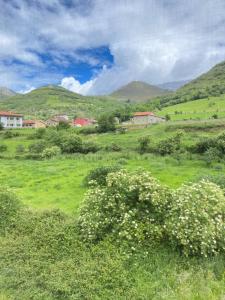 a field of green grass with white flowers at La Serna in Arenas de Cabrales