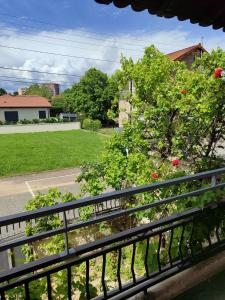 Zahrada ubytování Appartement avec Piscine Riorges