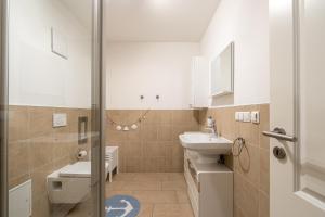 ein Badezimmer mit Waschbecken, Toilette und Dusche in der Unterkunft Sellinkoje in Residenz Waldidyll in Ostseebad Sellin