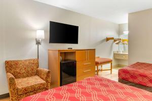ein Hotelzimmer mit einem Bett, einem Stuhl und einem TV in der Unterkunft Econo Lodge in Creedmoor