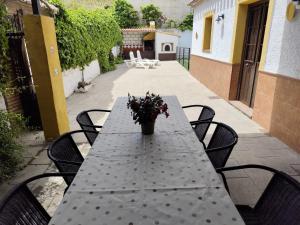 una mesa negra con una maceta en un patio en Casa Villazo I, en Almáchar