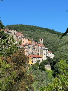 un groupe de bâtiments sur une colline plantée d'arbres dans l'établissement La terrazza di Ameglia alta - relax nel borgo Ligure, à Ameglia