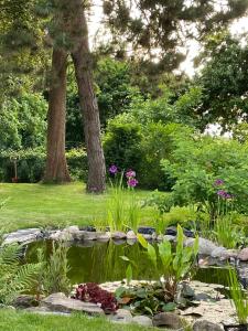 un laghetto in un giardino con alberi e fiori di Lot Lodge Travemünde a Lubecca