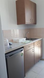 una pequeña cocina con fregadero y lavavajillas en Manolis Studios en Kefalos