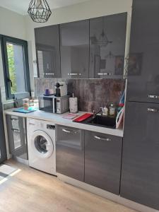 uma cozinha com um lavatório e uma máquina de lavar roupa em Gîtes Les Lucioles em Mont-Saint-Aignan