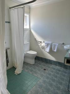 a bathroom with a toilet and a sink and a shower at Colonial Motor Inn in West Wyalong