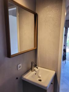 ein Bad mit einem Waschbecken und einem Spiegel in der Unterkunft Mooidal Boutique Park Glamping in Meerssen