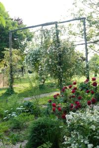 a garden with a bunch of flowers in the grass at Tenuta Agriturismo La Borina in San Bonifacio