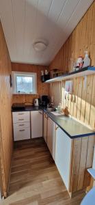 eine Küche mit Holzwänden und einer Arbeitsplatte in der Unterkunft Hagi 2 Road 62 nr 1 in Hagi