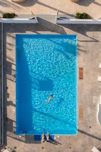 una vista aérea de una persona nadando en una piscina en Thalasses, en Adelianos Kampos