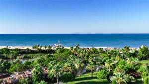 ベレキにあるPort Nature Luxury Resortのヤシの木と海の景色を望む