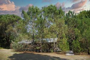 an old cabin in the middle of trees at Lo Rey du Lac in Soorts-Hossegor