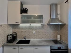 a kitchen with a sink and a stove top oven at Casa De Gallois in Sinaia