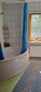 ein Badezimmer mit einer Badewanne mit einem blauen Duschvorhang in der Unterkunft Sweet Home in Koknese