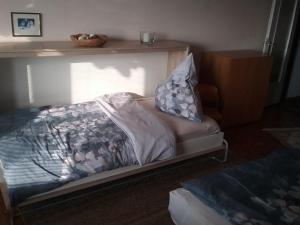 Una cama con una almohada en una habitación en Europaplatz, en Aachen