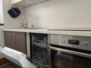 uma cozinha com uma máquina de lavar louça, um lavatório e um balcão em Spa House Alenka Terme Čatež em Catez ob Savi
