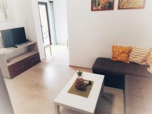 TV a/nebo společenská místnost v ubytování Apartment Matea