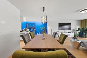 טלויזיה ו/או מרכז בידור ב-Exclusive spacious Apt. with garden in Zurich