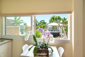 a kitchen with a window and a table with a plant at Modular Bungalows With Heated Pool Artemis Greece in Artemida