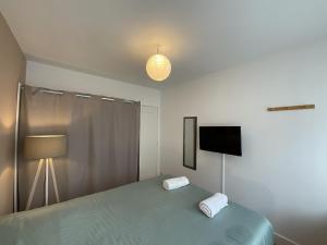 1 dormitorio con 1 cama, TV y lámpara en L'Éperon - Centre - Parking - 6 pers, en Le Mans