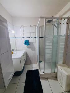 een badkamer met een douche en een wastafel bij Maison Baie des Mulets in Le Vauclin