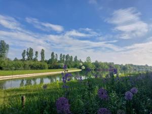 Naturlandskabet i nærheden af lejligheden