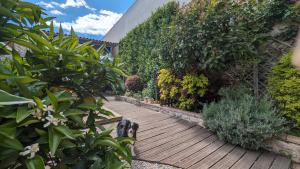 Galeriebild der Unterkunft La Maisonnette, ancienne bergerie avec accès au jardin in Prades