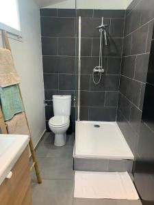 a small bathroom with a toilet and a shower at La bambouseraie de La mitre in Toulon