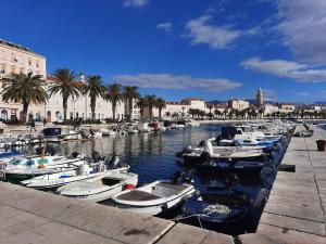 a bunch of boats are docked in a harbor at Green Garden , HOMEANDSAIL in Jezera