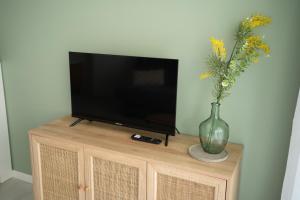 un televisor sentado en la parte superior de un armario de madera con un jarrón de flores en Studio à 1min des plages, Juan les Pins, en Antibes