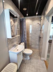 uma casa de banho com um WC, um lavatório e um chuveiro em JAKOBSON HOUSE em Rapla