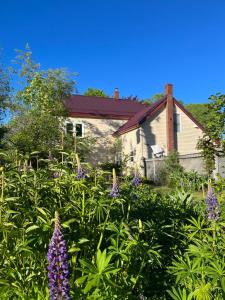 een huis met paarse bloemen ervoor bij B&B Art of Germany in Caledonia