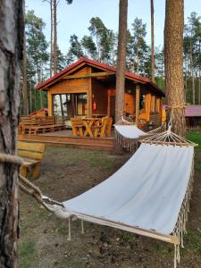 a hammock in front of a log cabin at Schadzka w dwunastce z widokiem na jezioro in Borsk