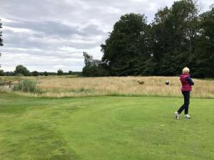 Tiện nghi golf gần/tại nhà nghỉ dưỡng
