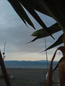 a view of a beach with a view of the ocean at Villa Mike in Amarynthos +7 photos