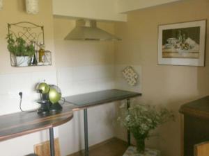 a kitchen with a counter and a table in a room at Country house Messerschmitt in Böchingen