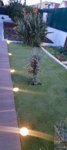 a garden with lights on the grass at Poolemonhouse in Fernao Ferro