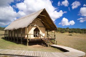 uma grande cabana com um telhado de relva num campo em Gorah Elephant Camp em Addo