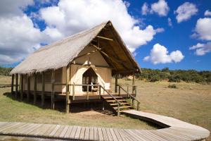 Příroda nedaleko luxury tent