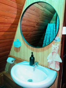 ein Bad mit einem Waschbecken und einem Spiegel in der Unterkunft Aquawood Cabin in Keruguya
