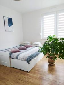 ein weißes Bett in einem weißen Zimmer mit einer Pflanze in der Unterkunft Apartament Łagiewniki in Krakau
