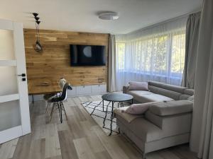 Televiisor ja/või meelelahutuskeskus majutusasutuses Apartmán Oriens Pec pod Sněžkou