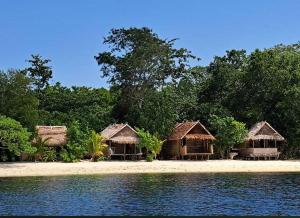 a group of huts on a beach next to the water at Snonbepur homestay Raja Ampat in Sageurin
