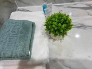 Апартаменты ЖК Сезим кала Бакыт Туран 55/12 في Taldykolʼ: نبات أخضر موضوع على طاولة الحمام بجوار المناشف