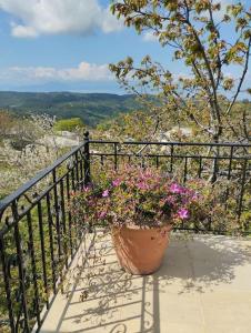 Fotografie z fotogalerie ubytování Christina's House - Neochori / Pelion v destinaci Neochori