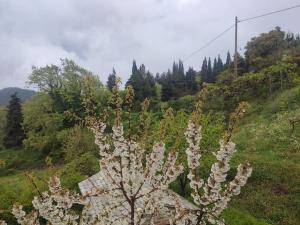 Fotografie z fotogalerie ubytování Christina's House - Neochori / Pelion v destinaci Neochori