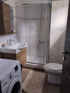 a bathroom with a shower and a toilet and a washing machine at Christina's House - Neochori / Pelion in Neochori +20 photos