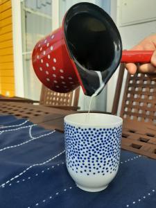 Galeriebild der Unterkunft Annemarie Zerpenschleuse - Schwedenhaus mit Künstler-Charme und Sauna in Zerpenschleuse